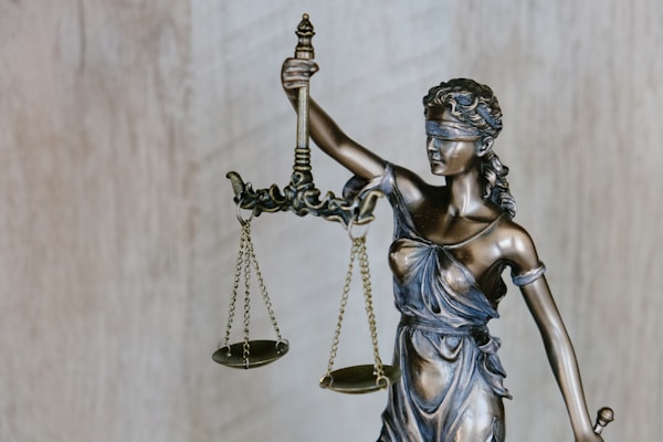 Lawyer & Legal Consultant Profile 03